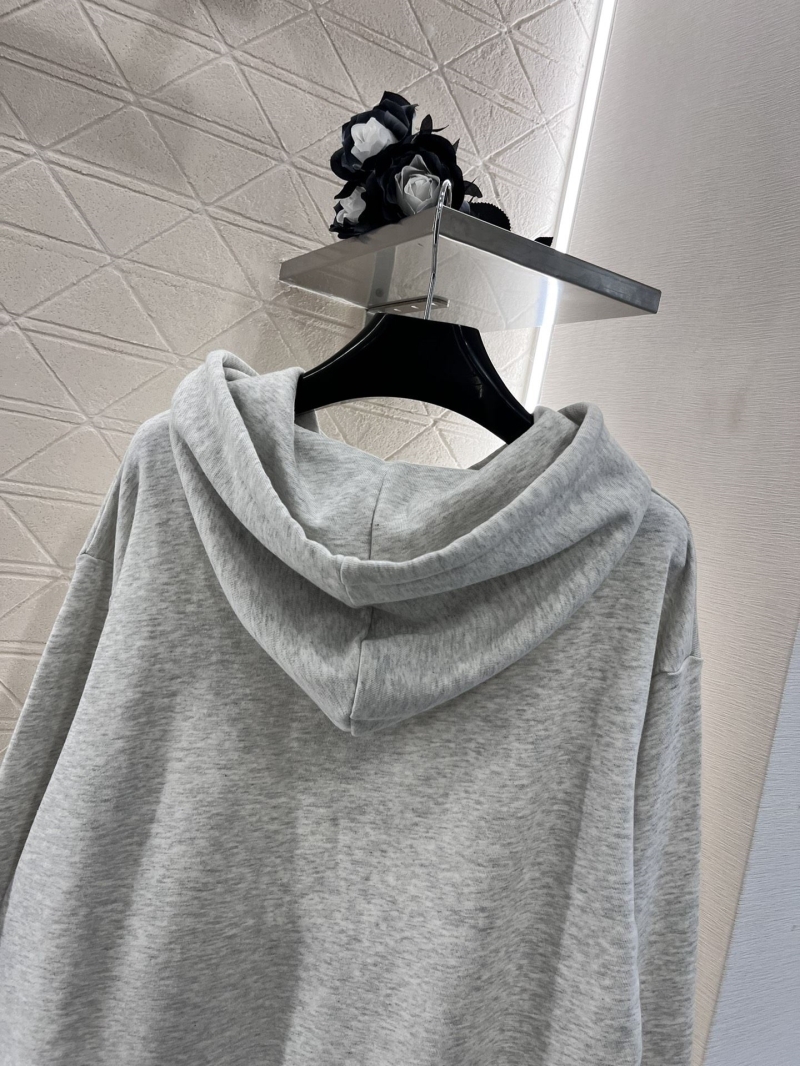 Celine Hoodies